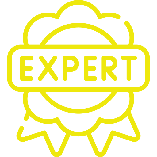 Experienced Professionals